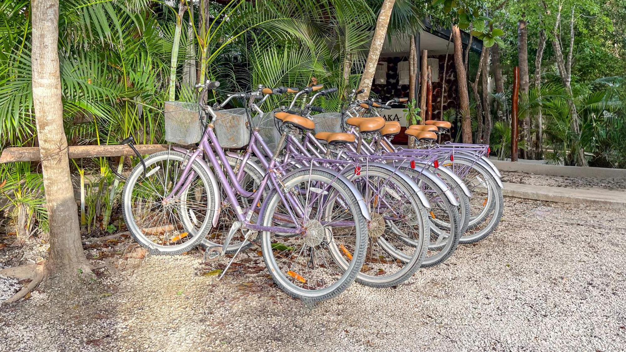 Amaka Calma Tulum Hotel Екстериор снимка
